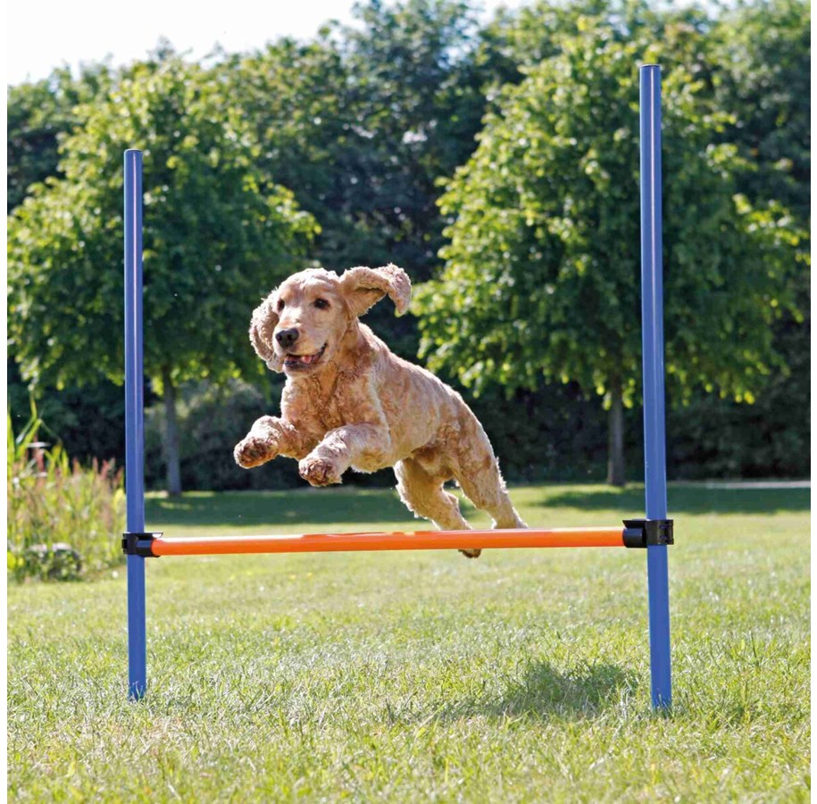 Hund - Trixie Dog Fun Agility Hurdle 123x115cm - TX3207