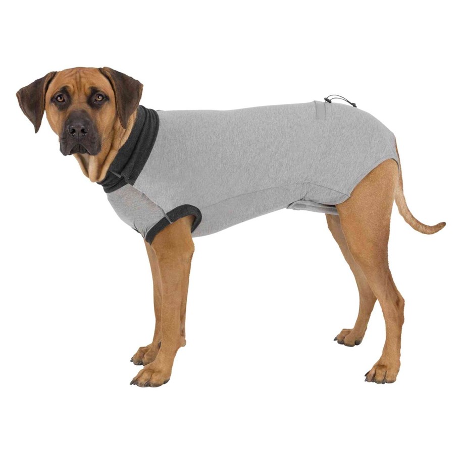 Hund - Trixie Beskyttende restitusjonsbody for hunder Størrelse: L-XL Rygglengde: 62cm - TX19538