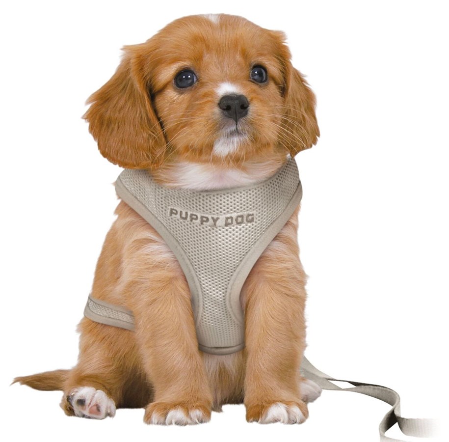 Hund - Trixie Junior Puppy Myk Sele med Bånd Størrelse S-M Mageomkrets 26-34cm - TX15560