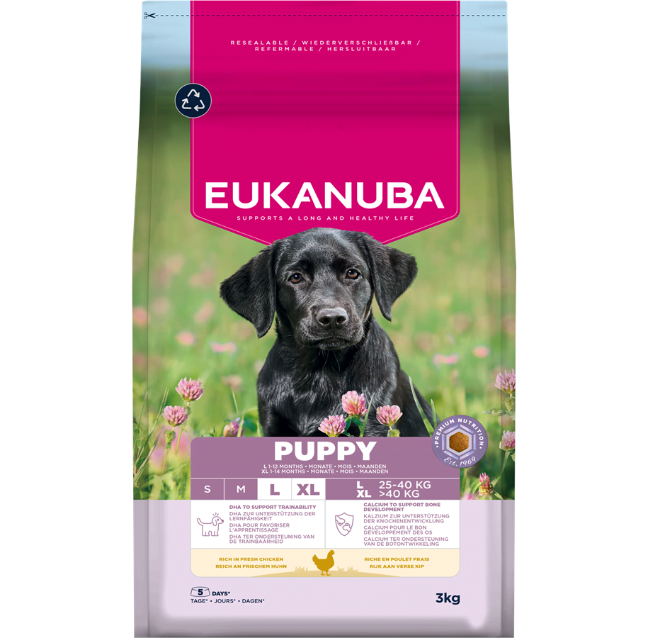 Hund - Eukanuba Puppy Large Breed Fresh Chicken 3kg - EH030300