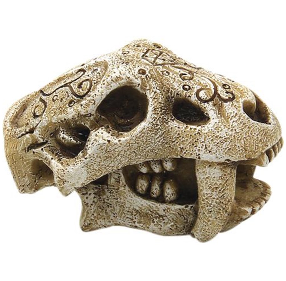 Fisk - 4FISH Skull 7.5x4.2x4.2 cm - AT47389