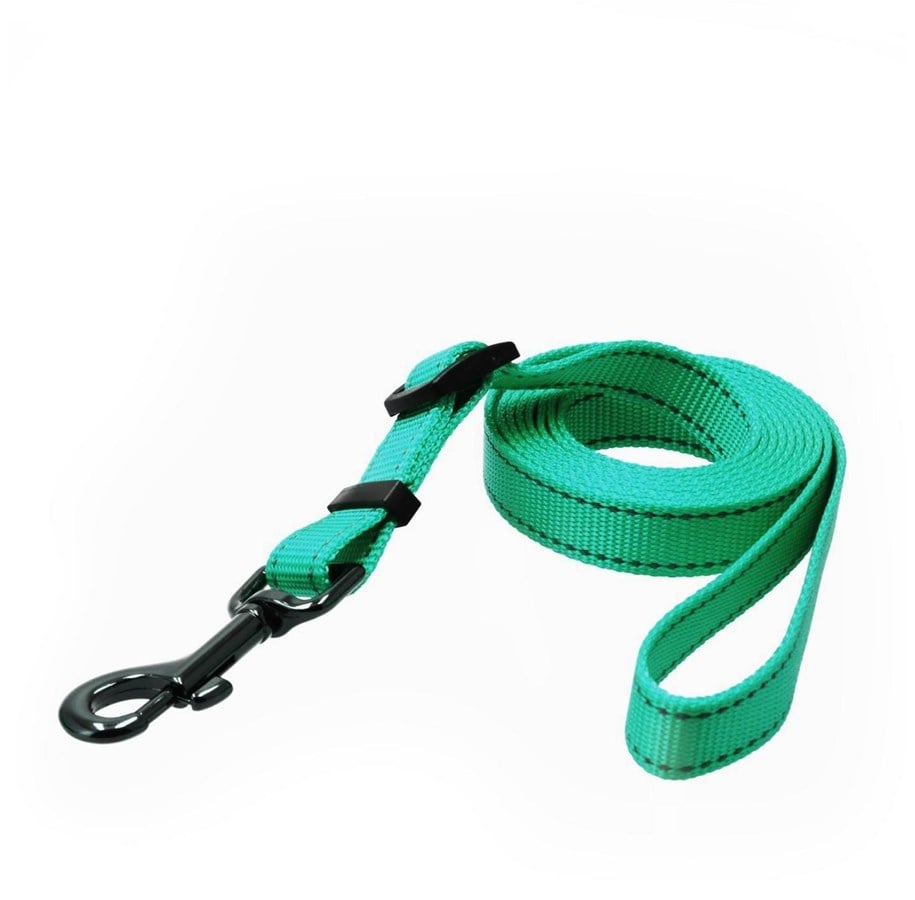 Hund - Dogman Iris Justerbart Nylon Hundebånd Cyan Stor 20mm 120-200cm - 223014