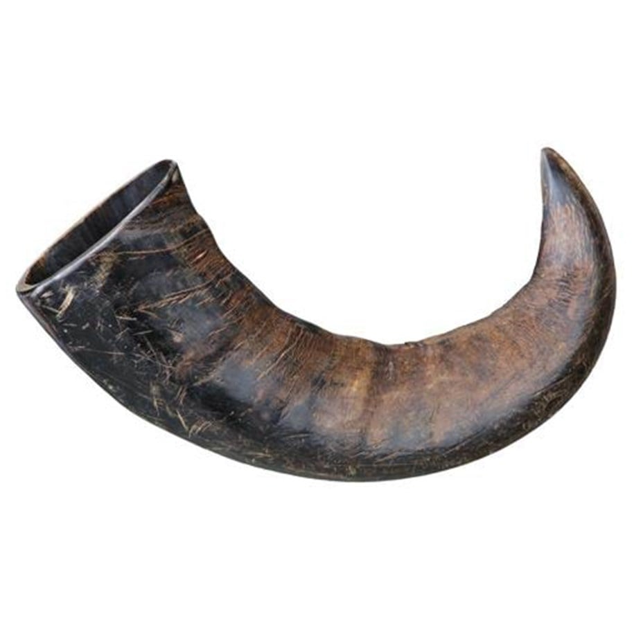 Hund - Trixie Buffalo Chewing Horn packaged large - TX27743