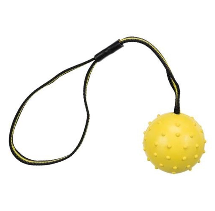 Hund - Trixie Ball on a Strap ø 6 cm/35 cm assorted colours - TX32820