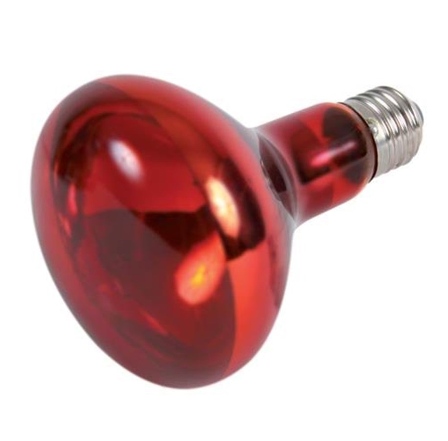 Oppvarming/Lys - Trixie Infrared Heat Spot Lamp 150W R95 E27 - TX76098