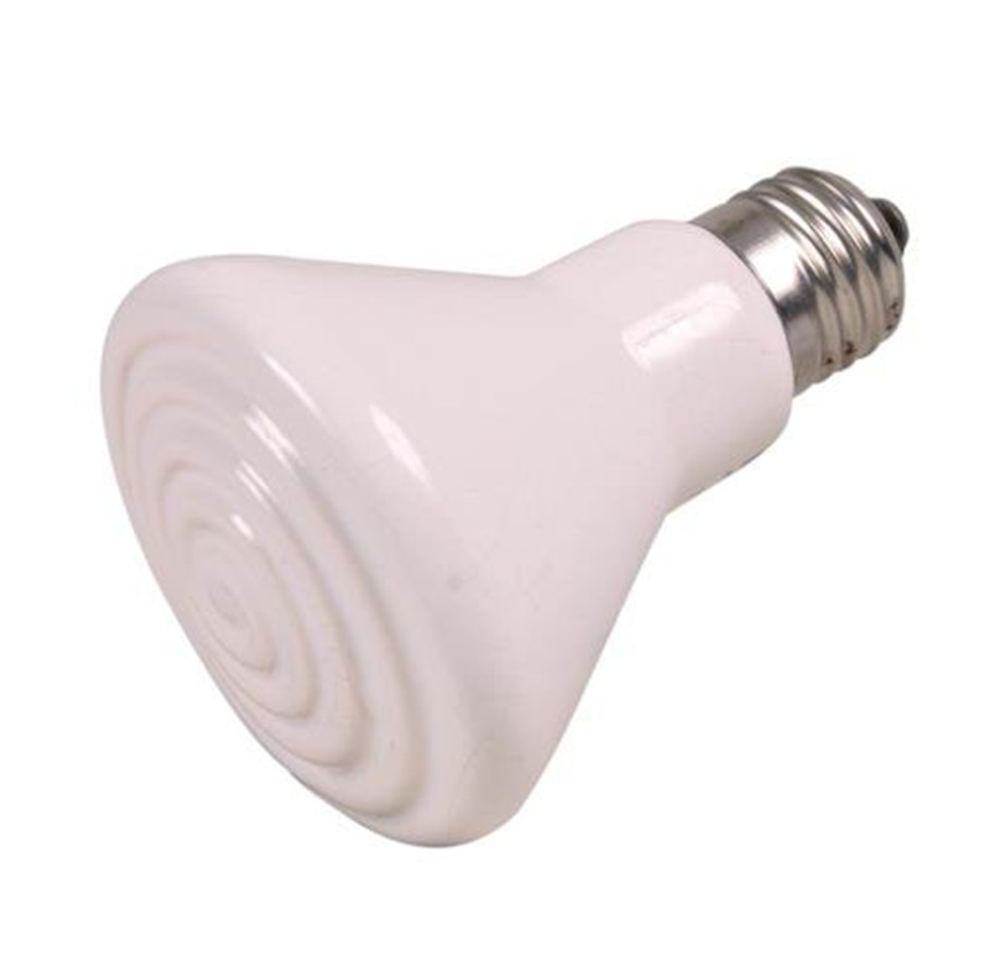 Oppvarming/Lys - Trixie Ceramic Infrared Heat 50W ø 75 x 100mm E27 - TX76100