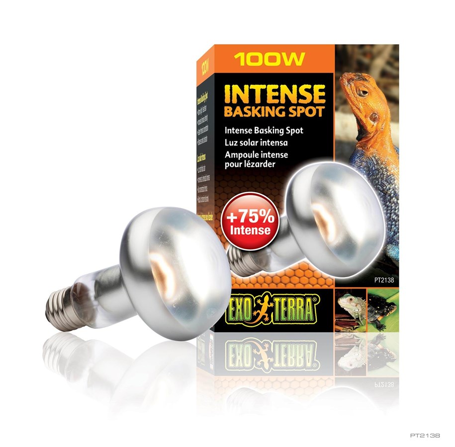 Oppvarming/Lys - EXO TERRA Intense Basking Spot 100W - PT2138