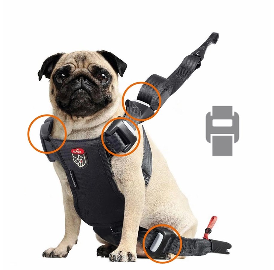 Hund - Zolux Travel Safe Isofix Car Safety Harness Black Small 7-15kg - 3336024621202