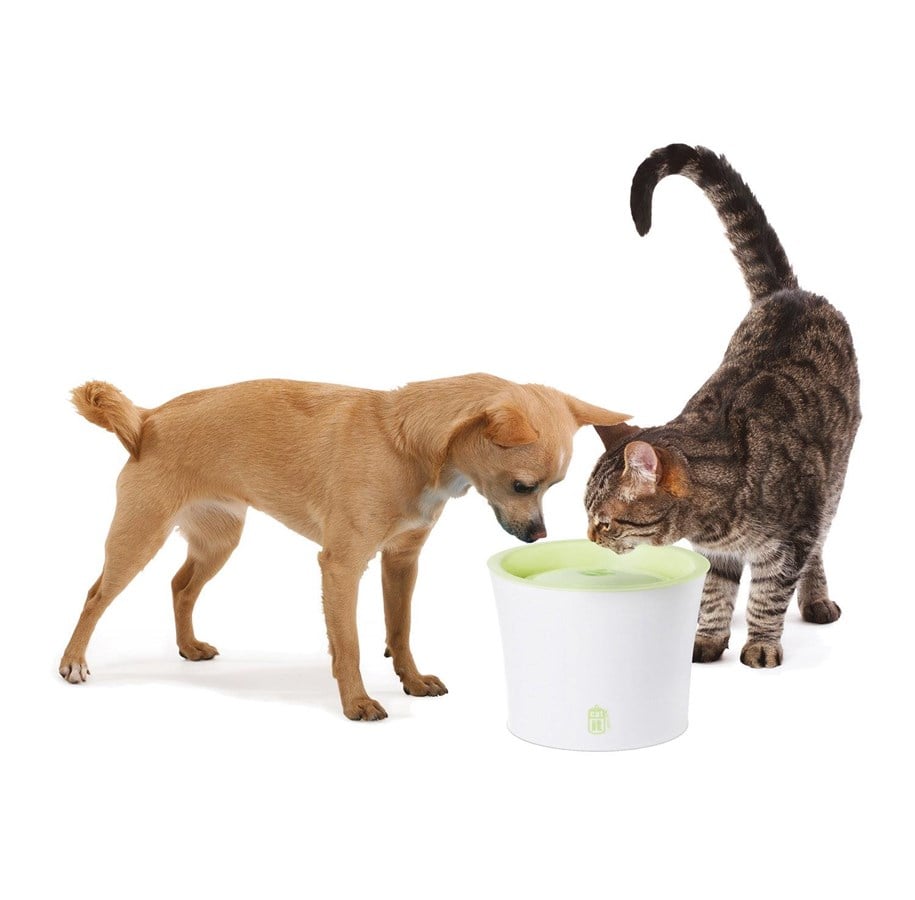 Katt - Catit Design Hvid/Lime Drikkefontæne 3 ltr. - 55600