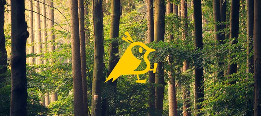 Lifestyle Aqiila logo