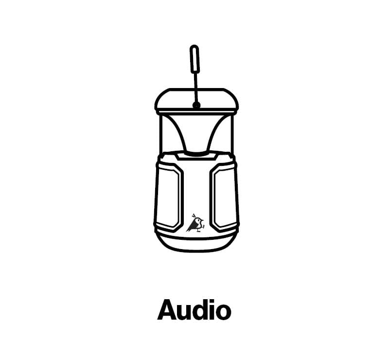 Audio