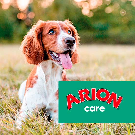 Arion Care