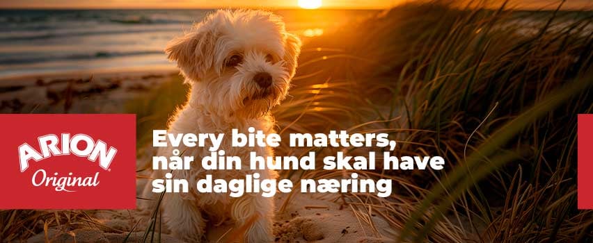 Arion-Original-hund produkter