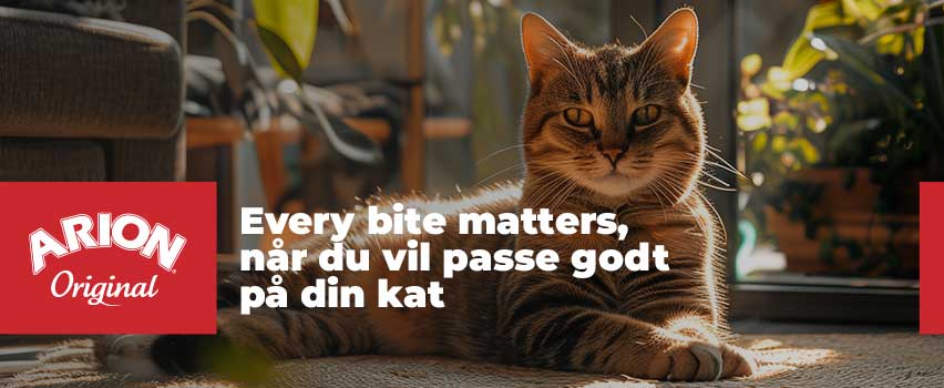 Arion-Original-katt produkter