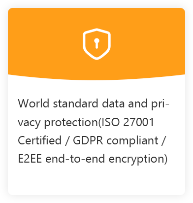 icon Shield