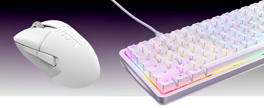 Mus og TASTATUR