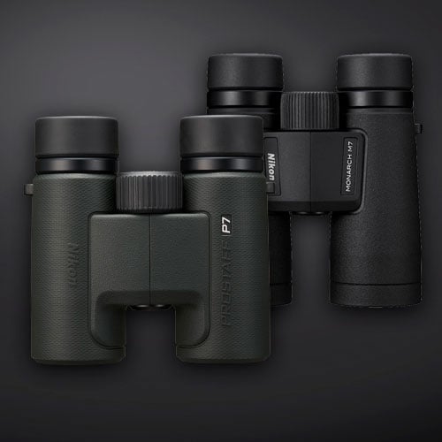Nikon kikkerter