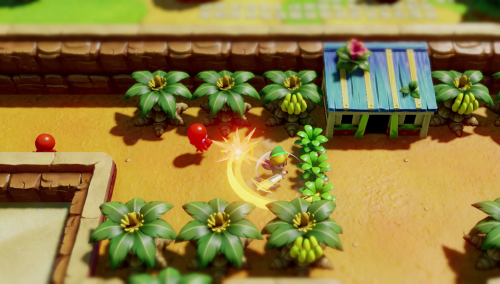 The Legend of Zelda: Link's Awakening Screen Shot 1