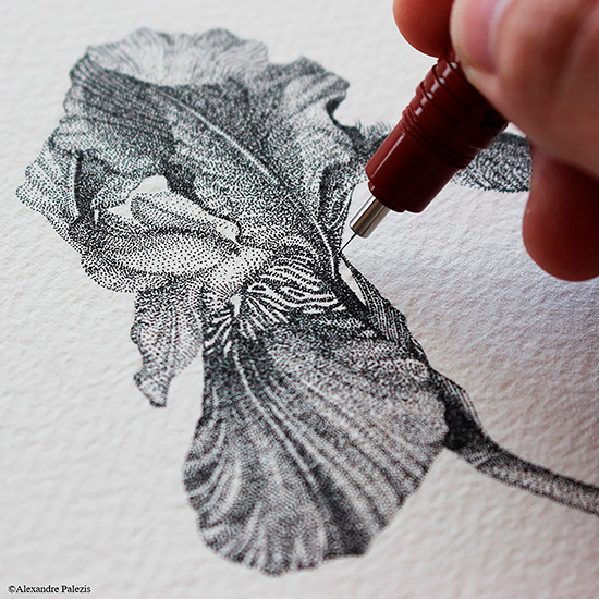 rOtring Isograph